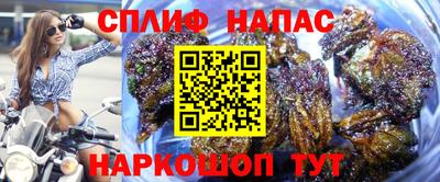мдма Будённовск