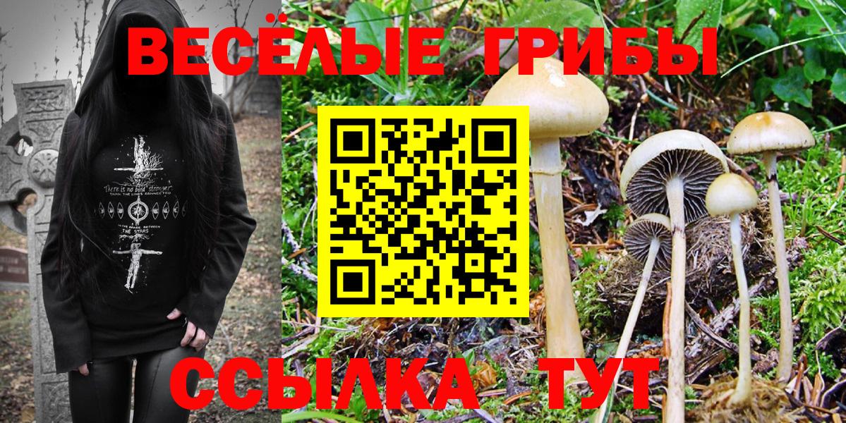 Псилоцибиновые грибы Magic Shrooms Саянск